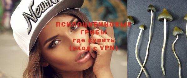 прущие грибы Балабаново