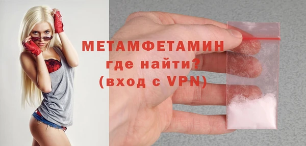 прущие грибы Балабаново