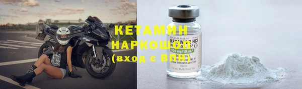 прущие грибы Балабаново