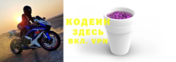прущие грибы Балабаново