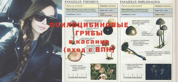 марихуана Баксан