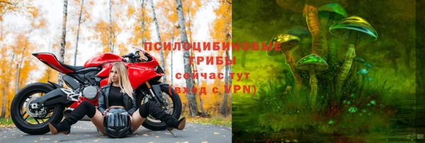 прущие грибы Балабаново