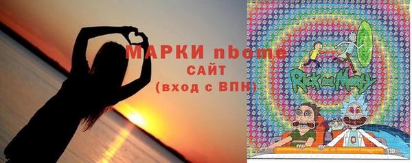 прущие грибы Балабаново
