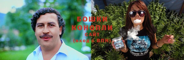 прущие грибы Балабаново