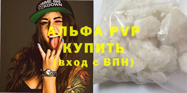 прущие грибы Балабаново
