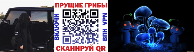 даркнет как зайти  купить наркотик  Петров Вал  Псилоцибиновые грибы Magic Shrooms 